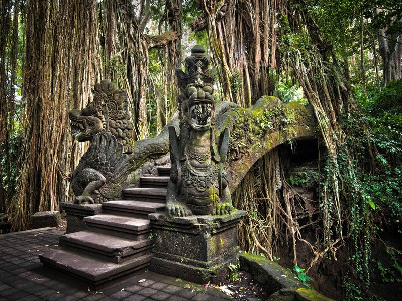 Capture the authentic charm of Bali’s lush scene